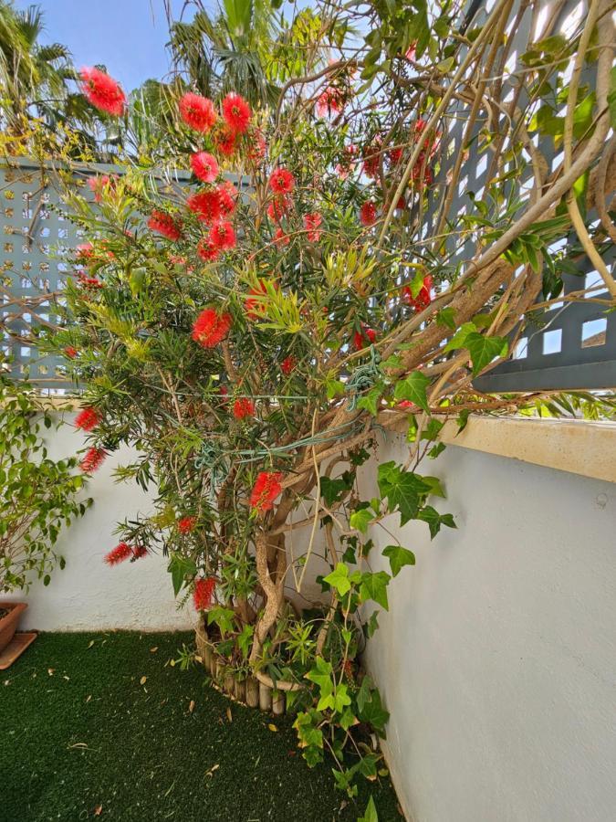 Rincon Del Salar Apartment Playas de Vera Exterior foto